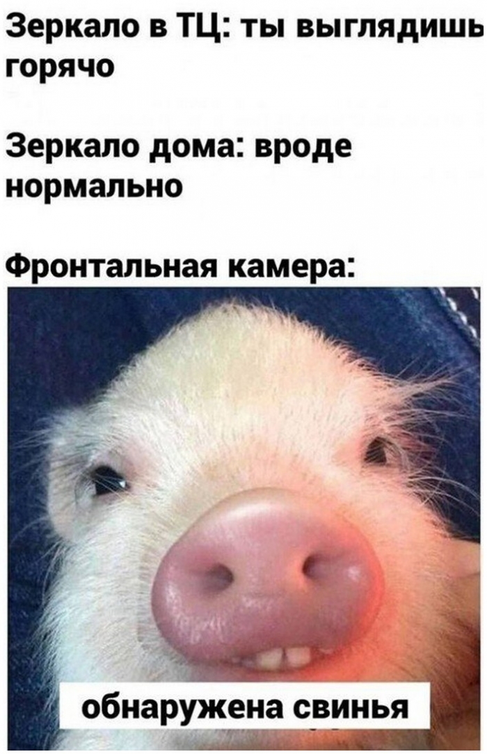 фото прикол
