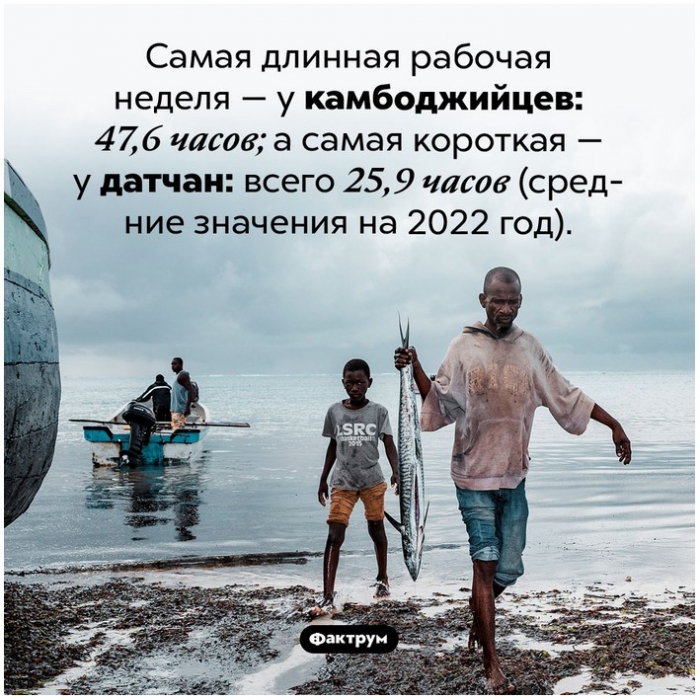 Факты в картинках