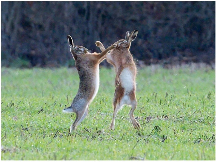 Интересные фото со всего мира