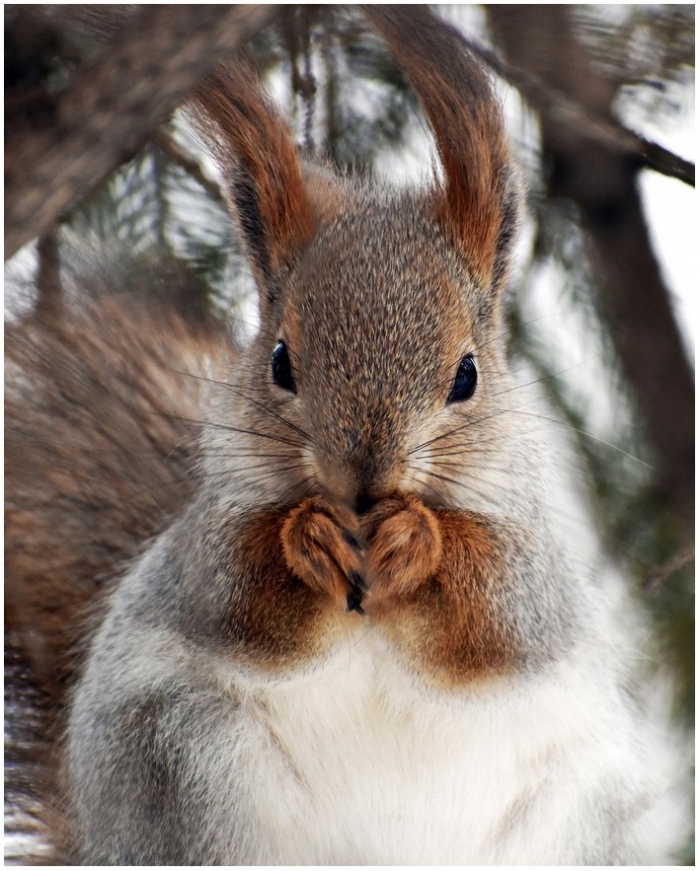 интересное фото