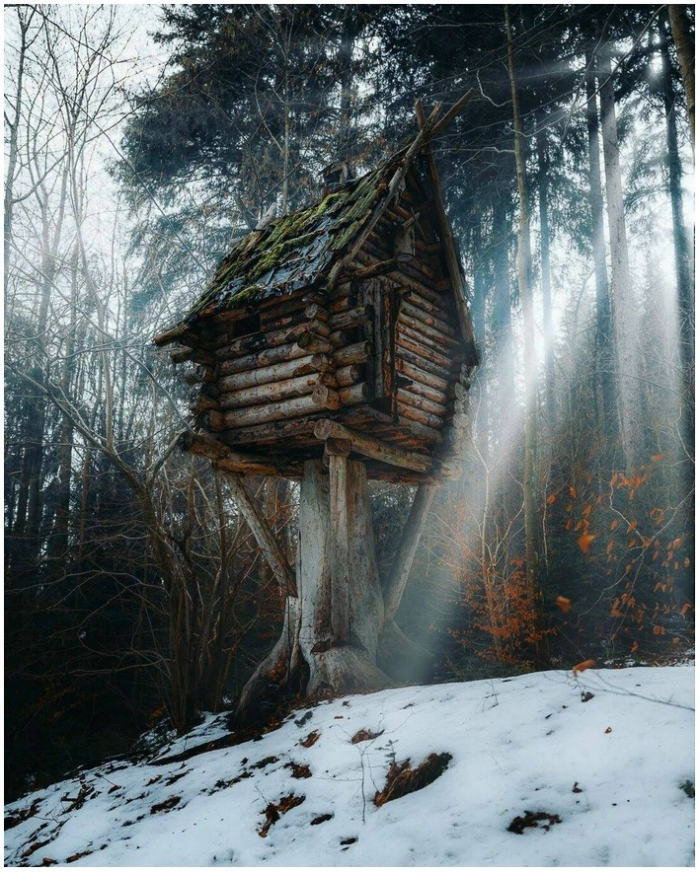 интересное фото