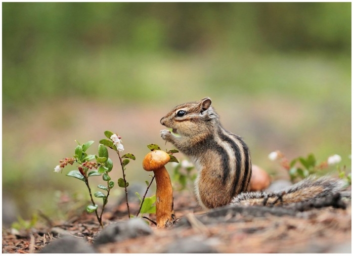 интересное фото
