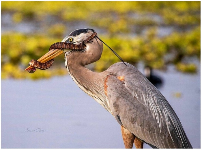 интересное фото