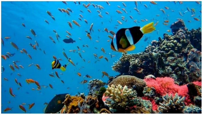 интересное фото