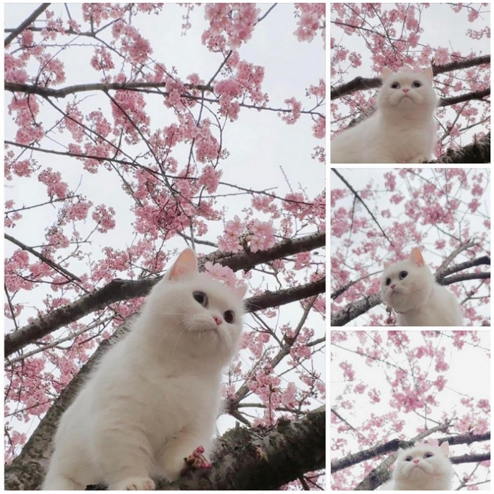 интересное фото