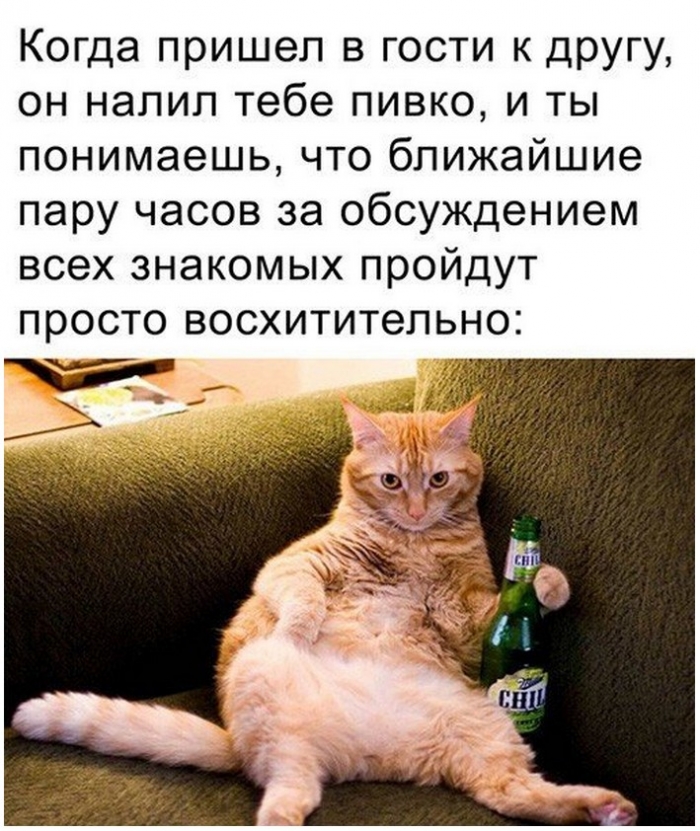 прикол про алкоголь