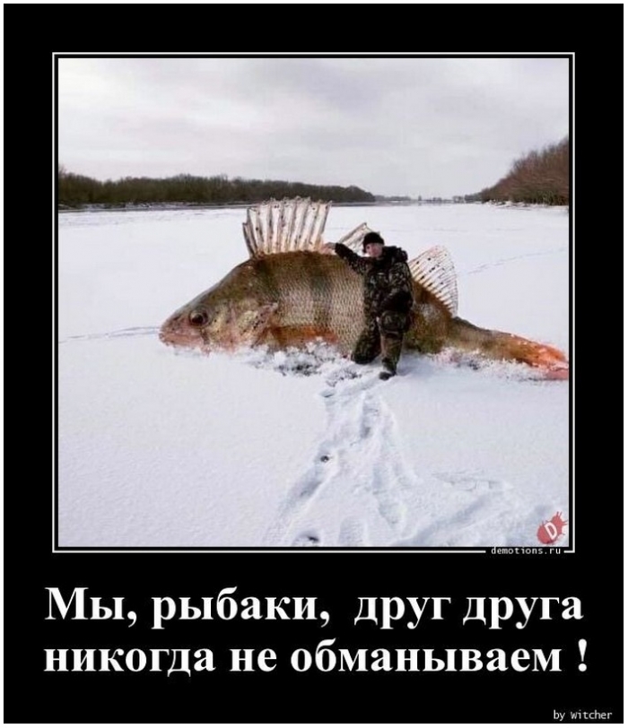 прикольный демотиватор