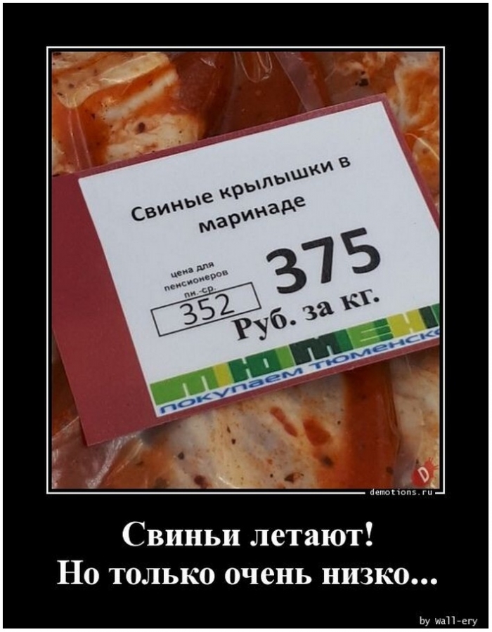 прикольный демотиватор