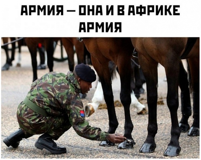 фото с приколом