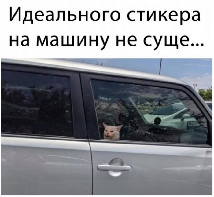 фото с приколом