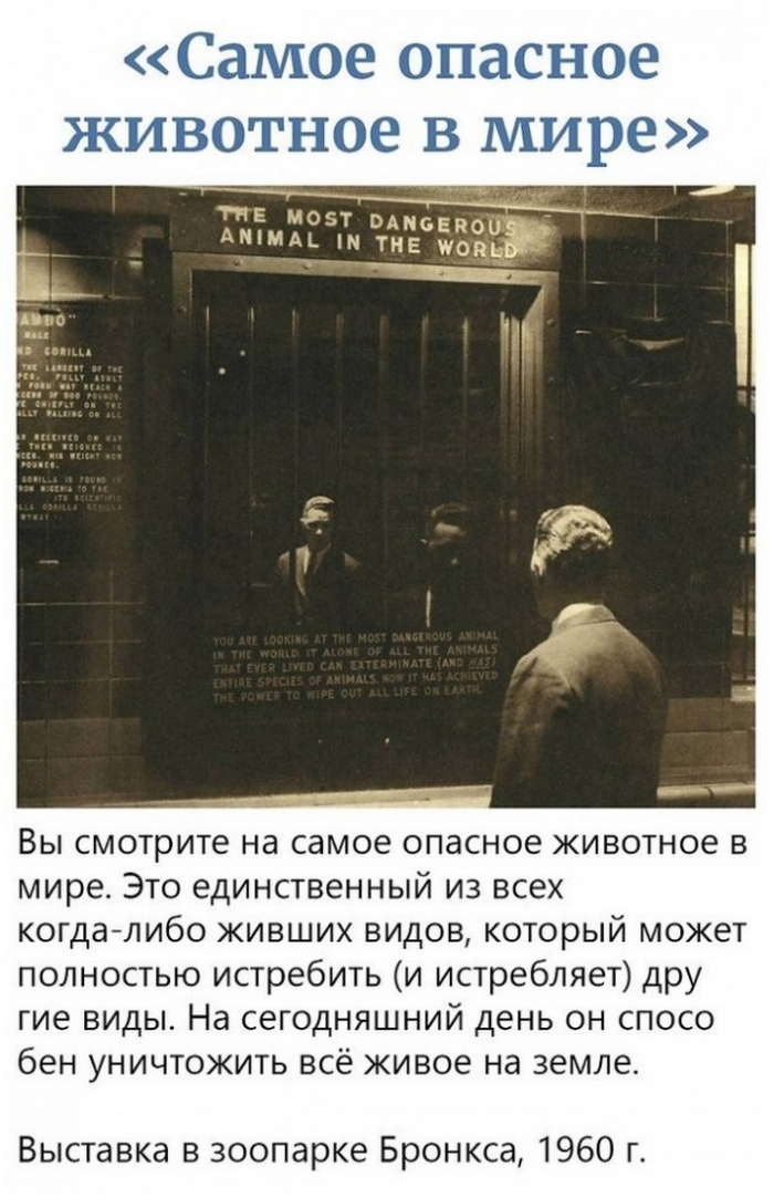 фото с приколом