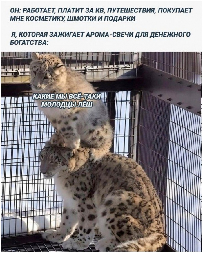 фото прикол