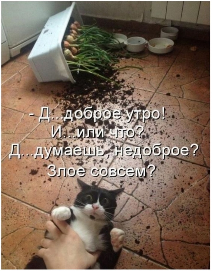 фото прикол