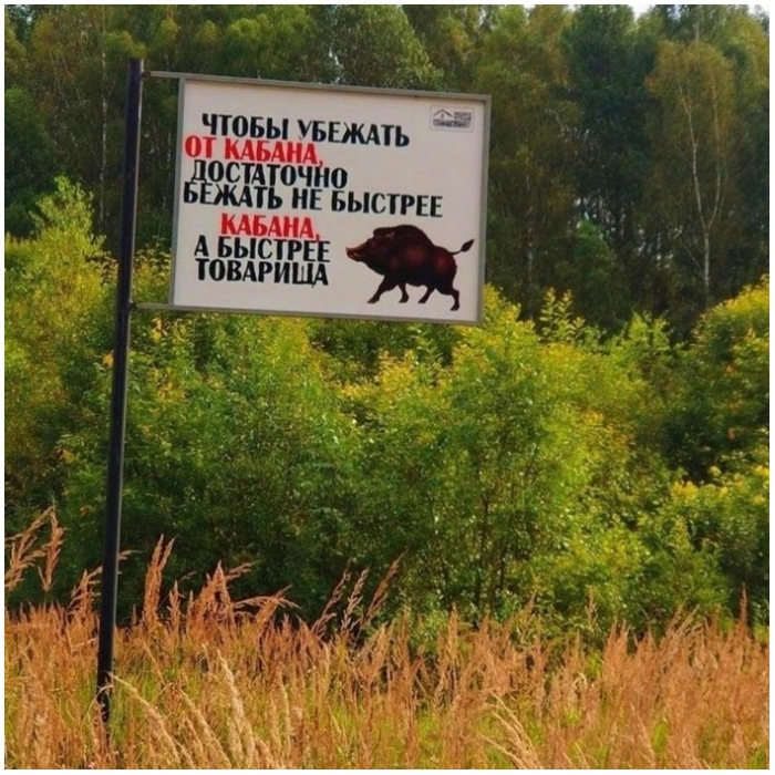 фото прикол