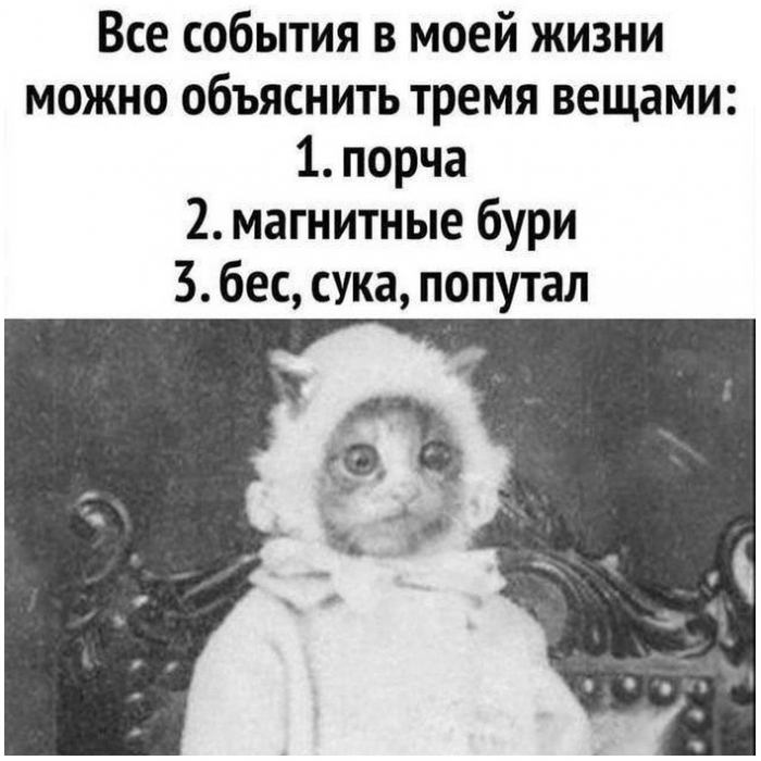 фото прикол