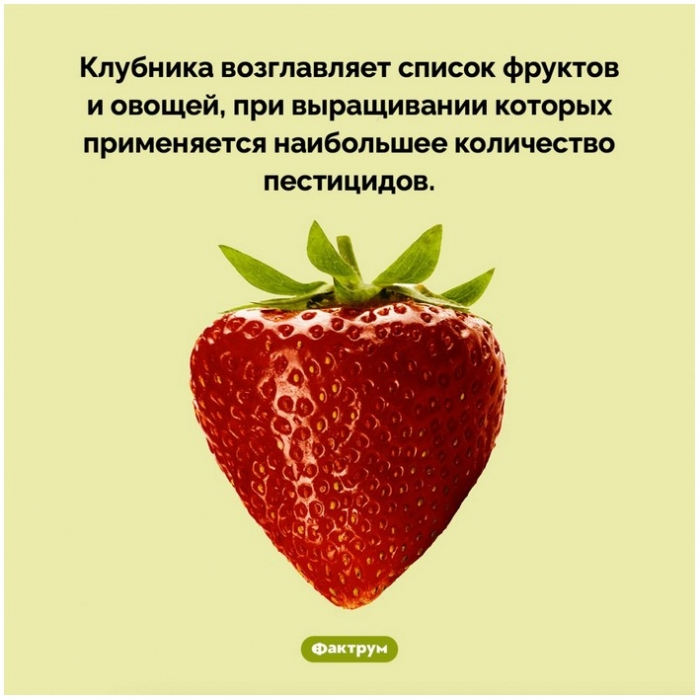 Факты в картинках