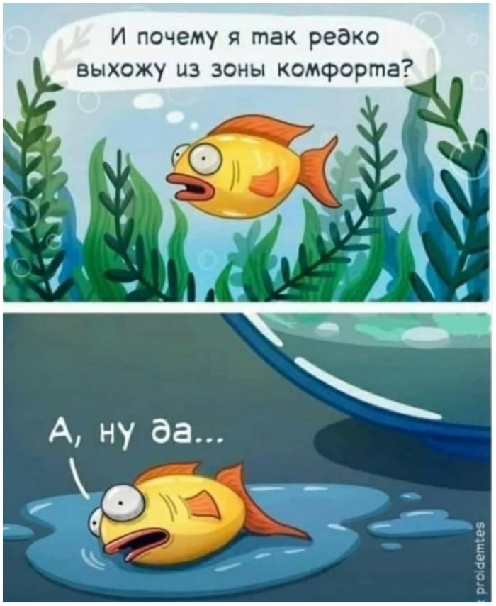 прикольная картинка