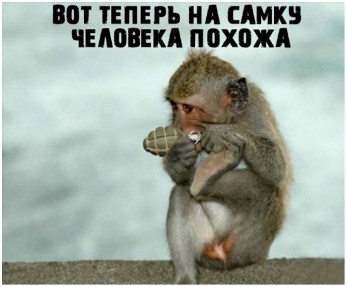 фото прикольное