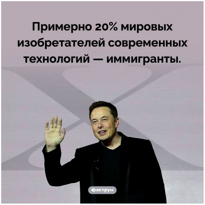 Интересные факты обо всем