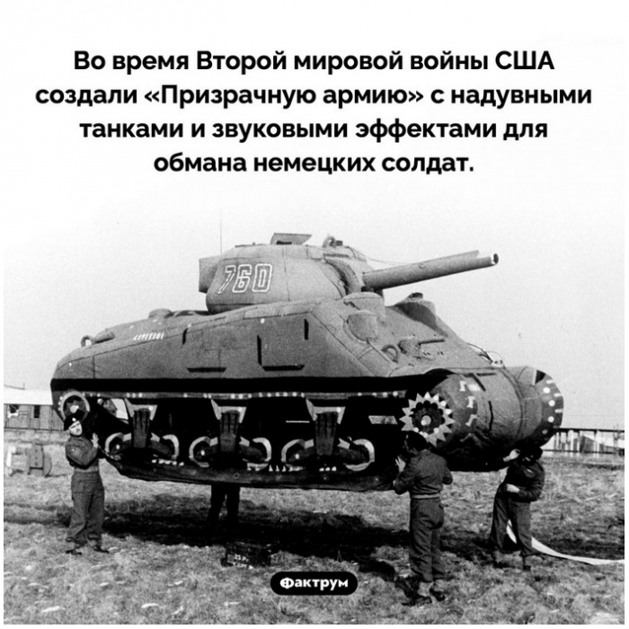 Факты в картинках