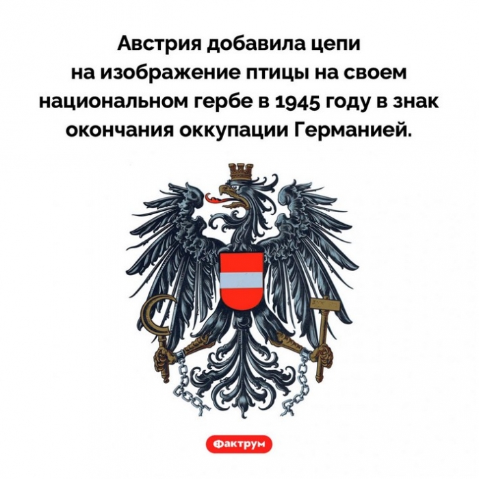 Занимательные факты обо всем