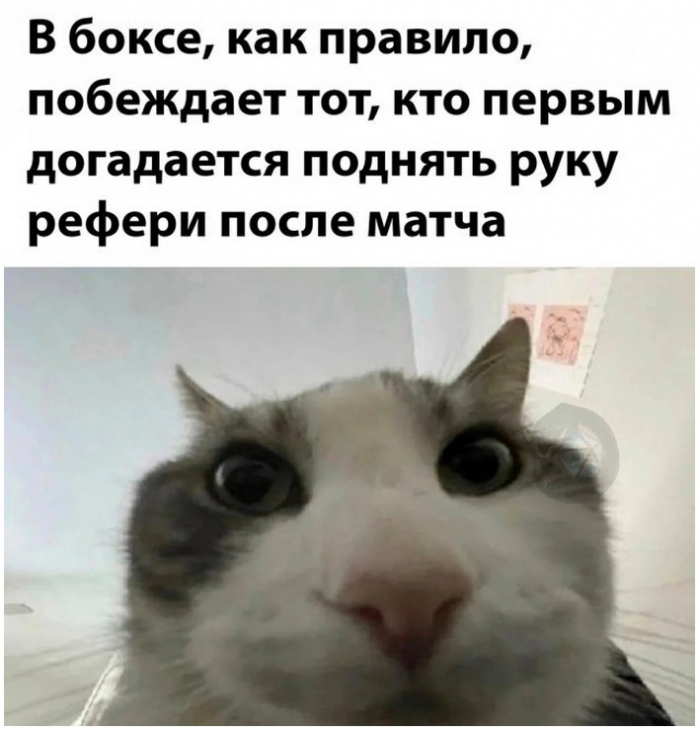 Картинки с приколами