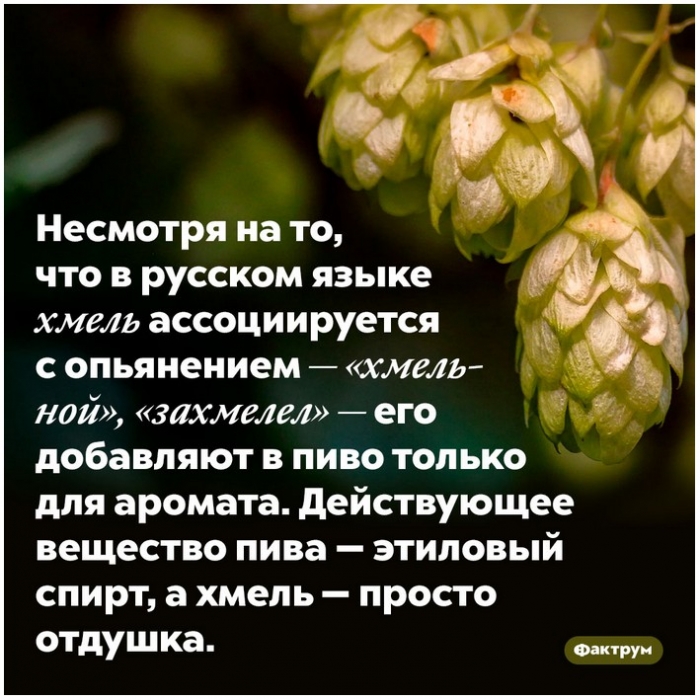 Факты в картинках