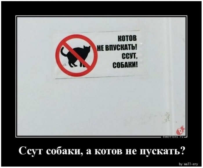 демотиватор