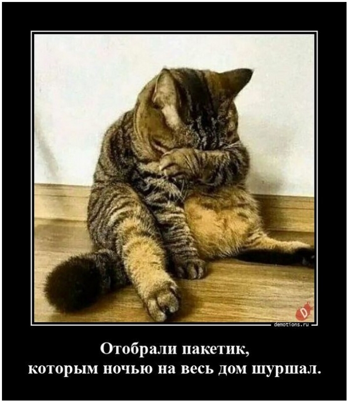 демотиватор