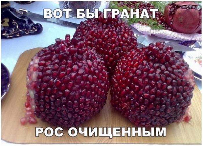 Подборка фотоприколов № 1224