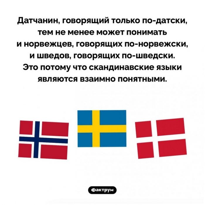 Интересные факты