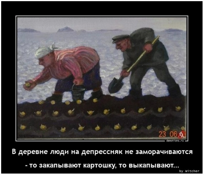 демотиватор