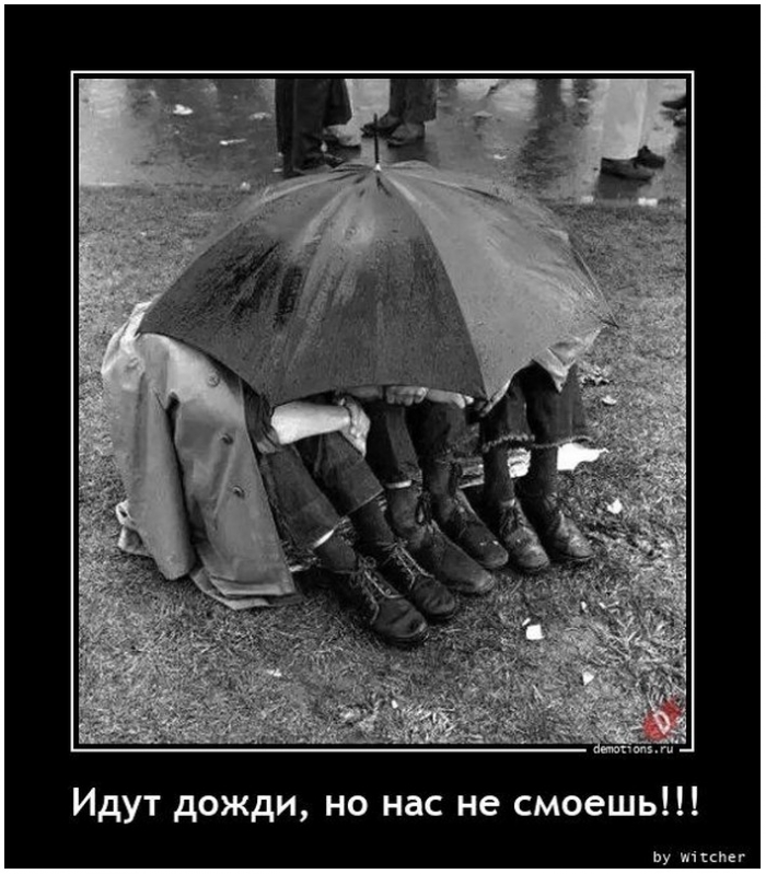 демотиватор