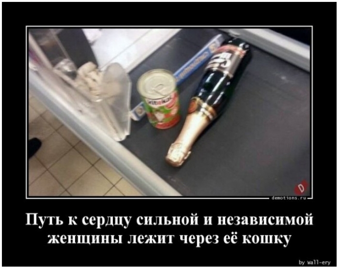 демотиватор