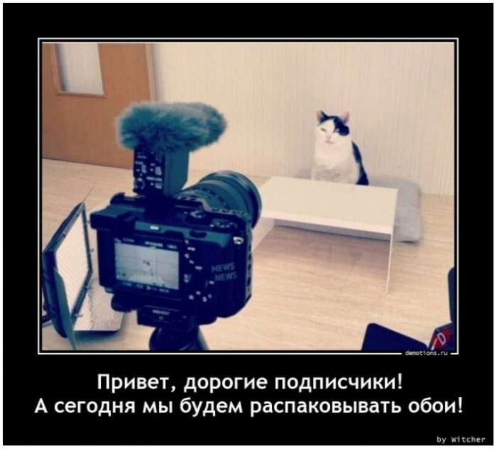 демотиватор