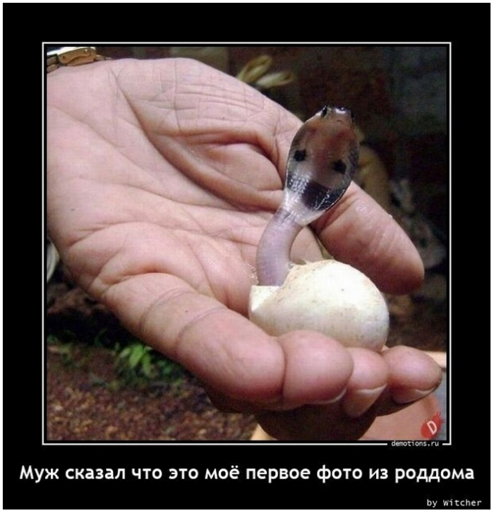 прикольный демотиватор