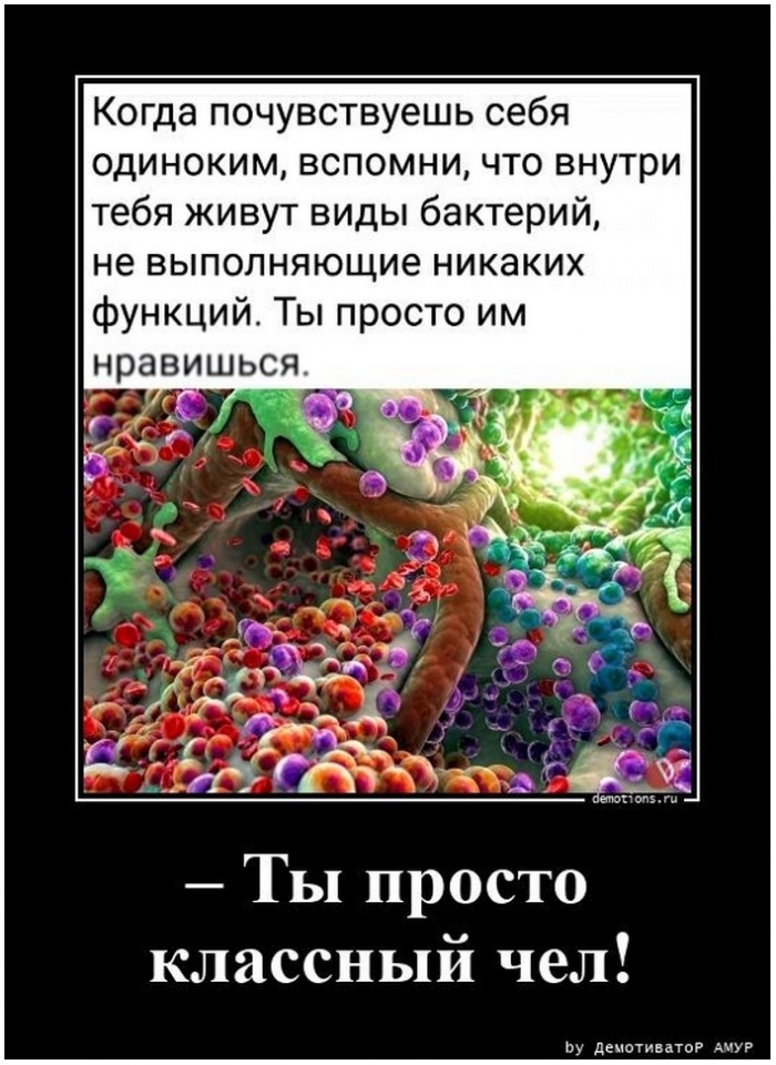 Подборка прикольных демотиваторов № 953