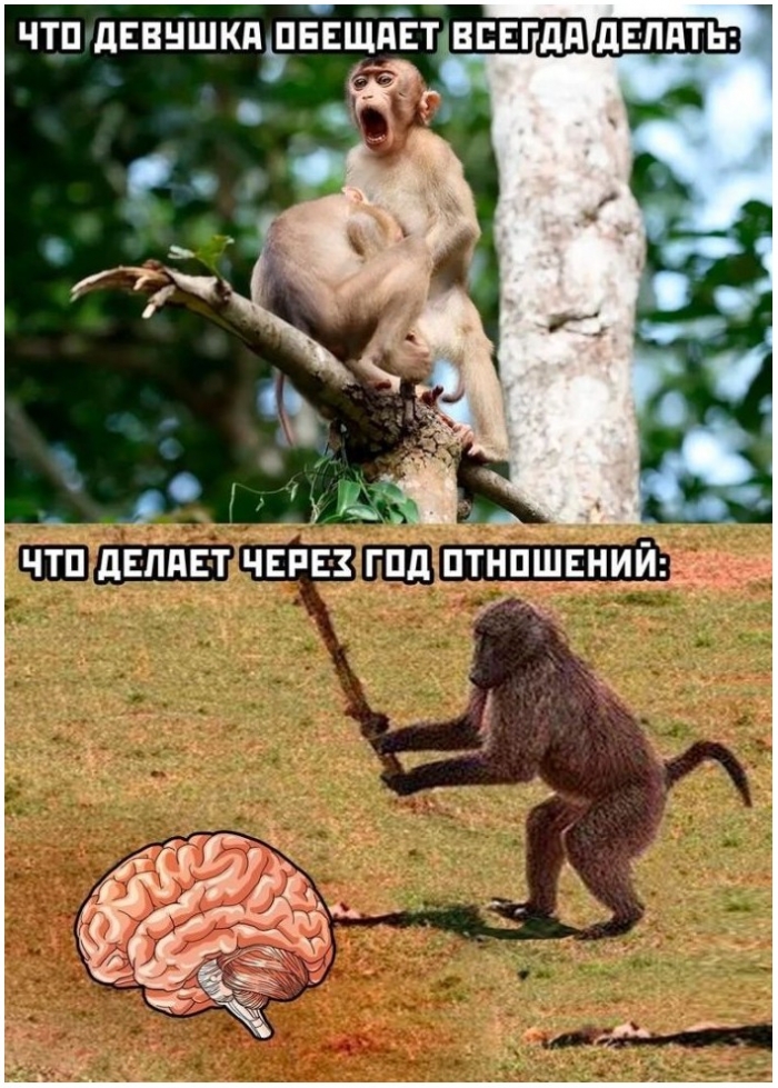 фото прикол