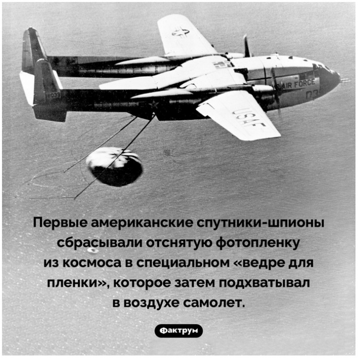 Факты в картинках