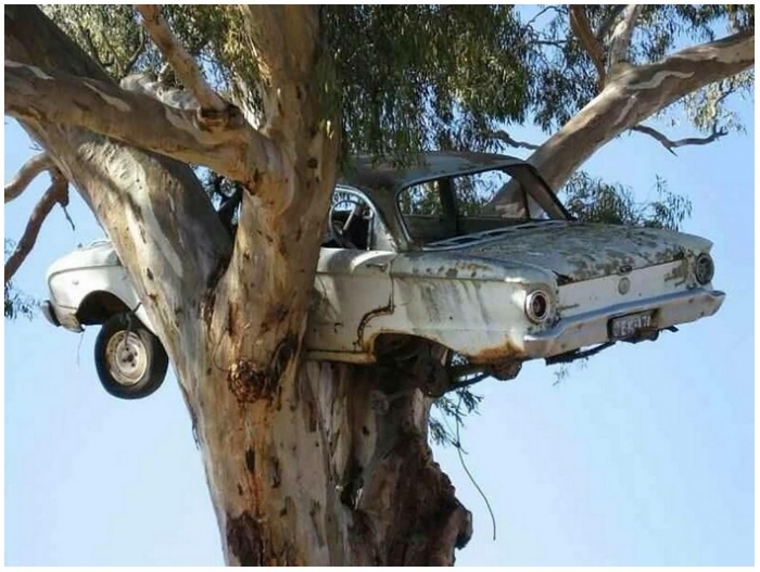 Забавные и интересные фото