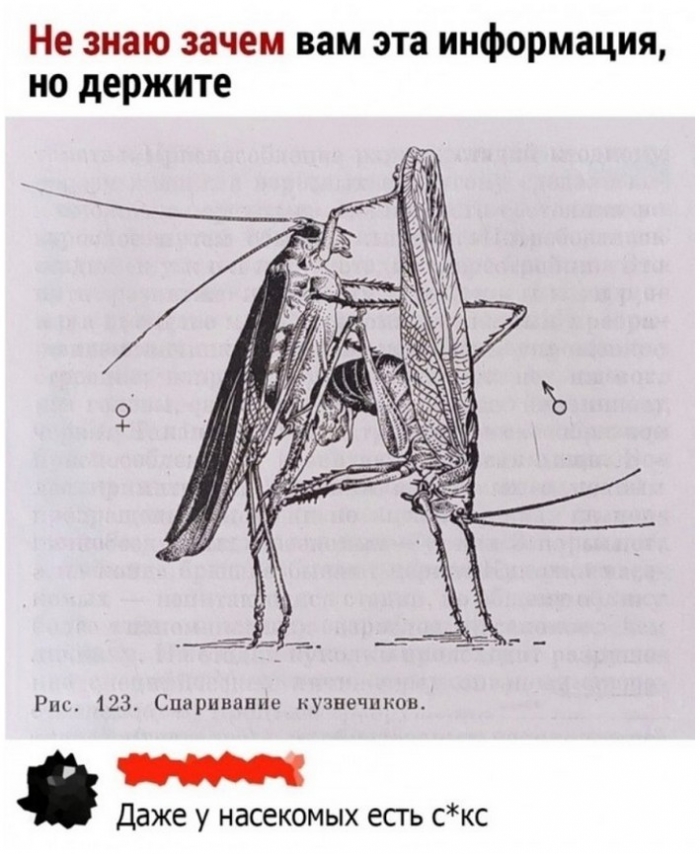 прикол