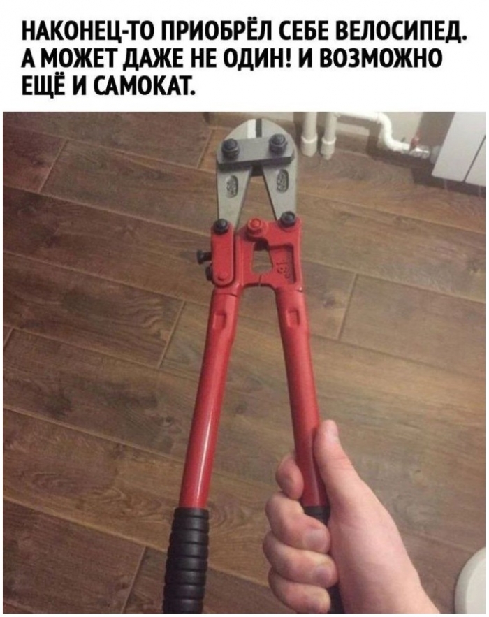 фото прикол