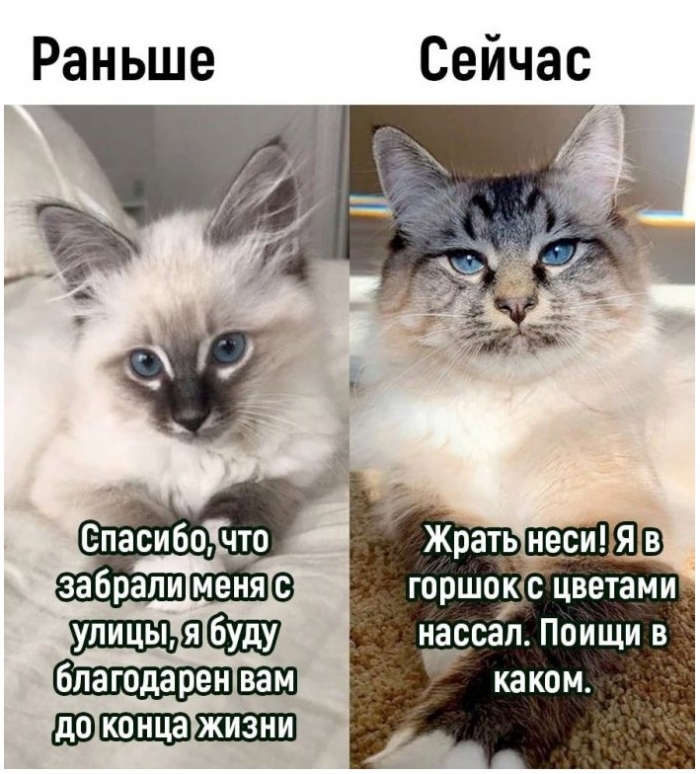 фото прикол