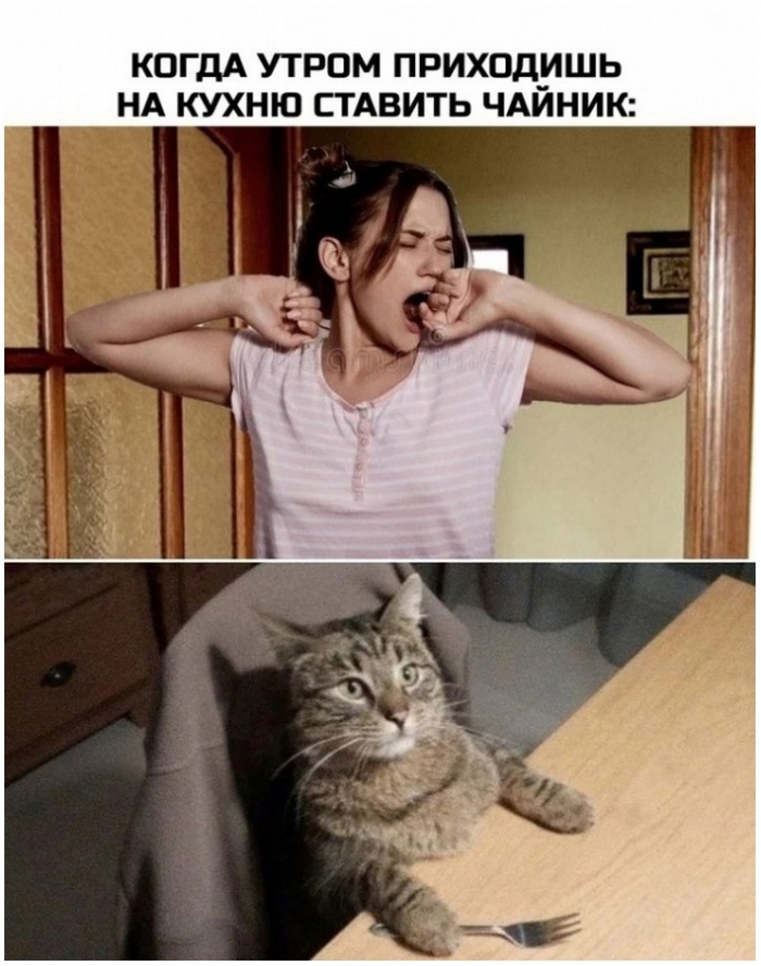 фото прикол