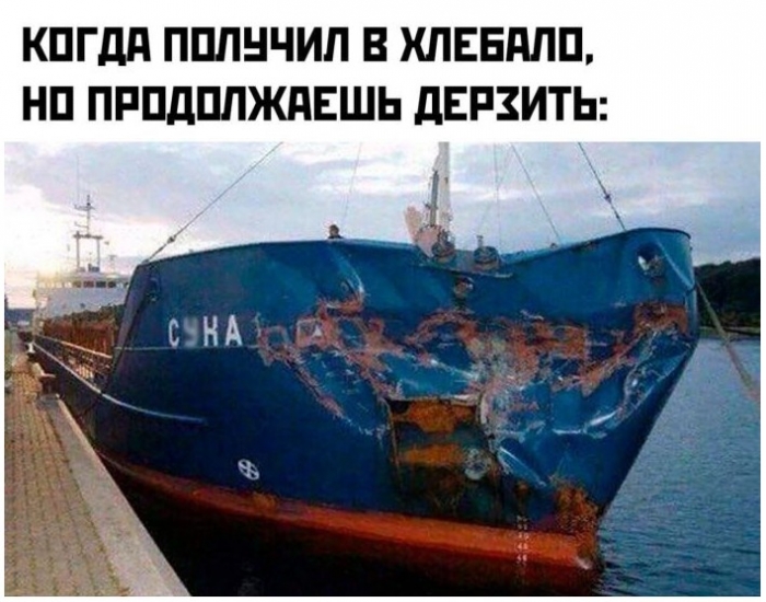 фото прикол