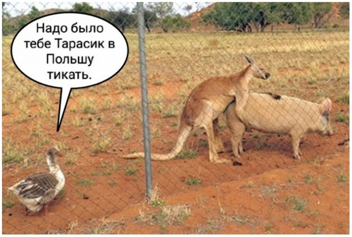 фото прикол