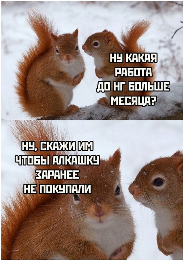 фото прикол