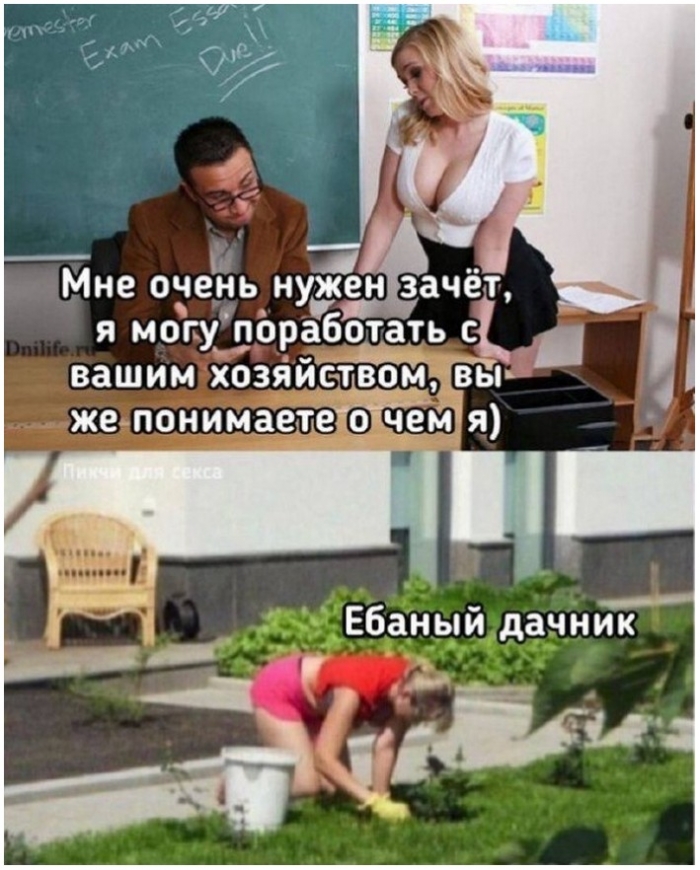 фото прикол