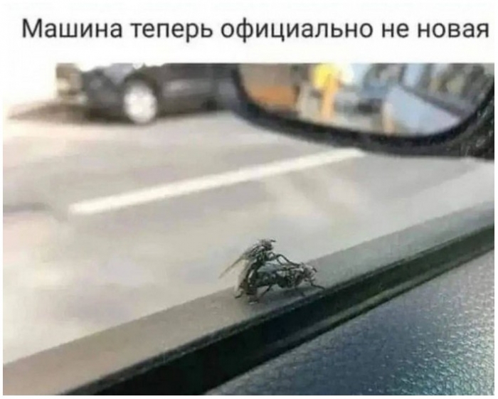 Подборка фотоприколов № 1240
