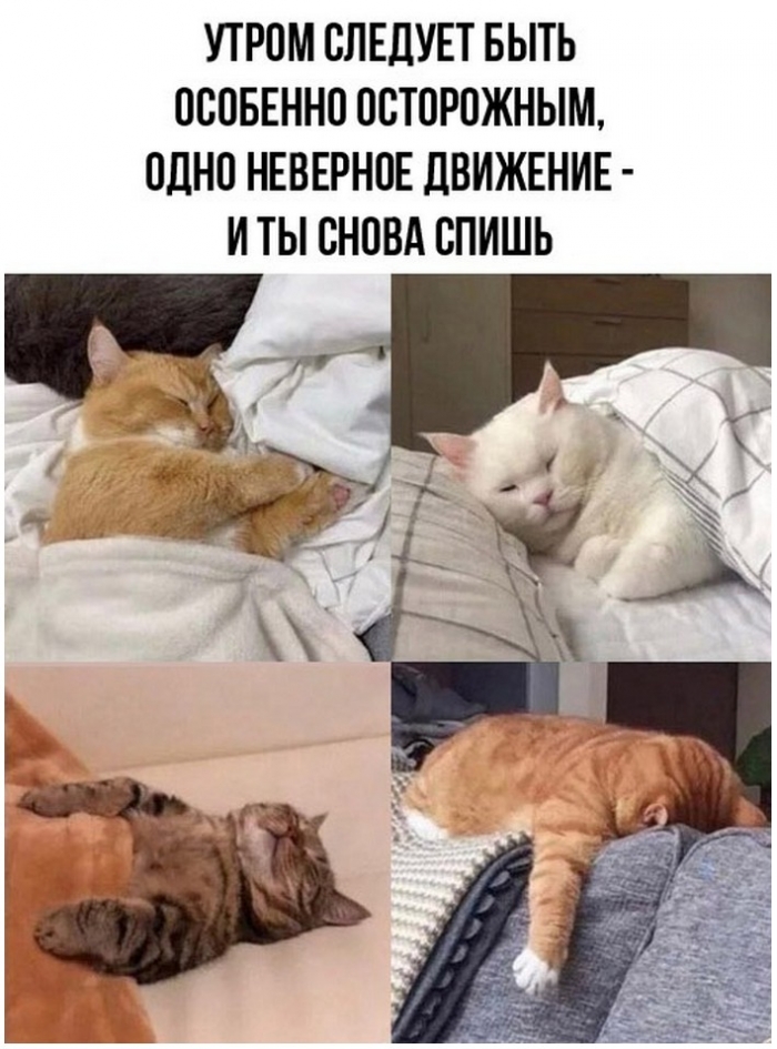 приколы